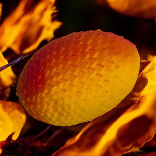 Fire Dragon egg toy prize bath bomb - Charming Cheshire, apple